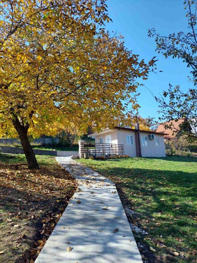 Borsko Jezero Villa Екстериор снимка